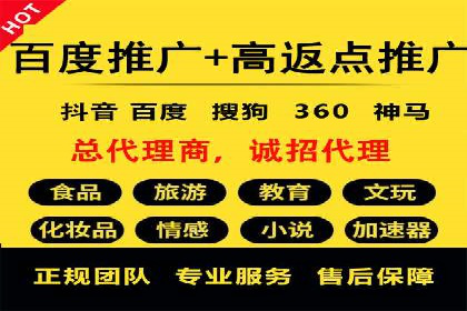 SEM服务公司成功案例解读
